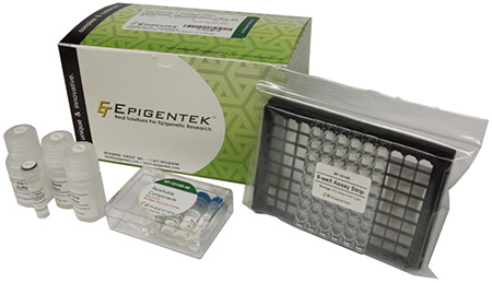 epigentek-kit.jpg