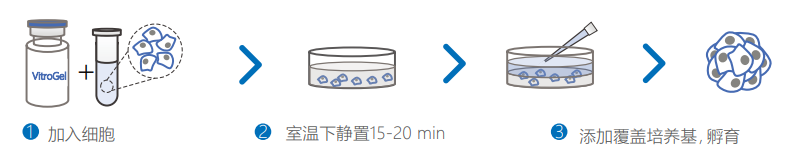3D包裹培養