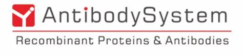 AntibodySystem.png
