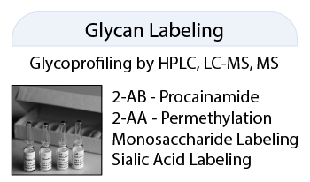 QA-Bio聚糖標記產品