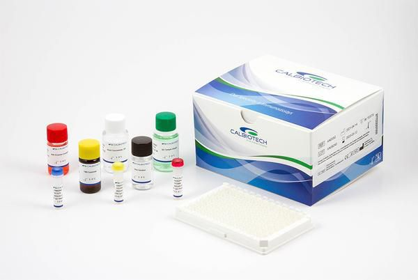 Calbiotech 免疫相關的elisa試劑盒