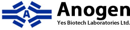 Anogen.png