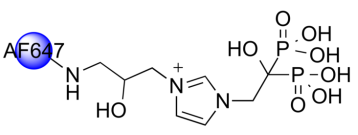 BV501001.png