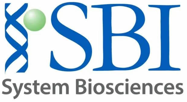 sbi.jpg