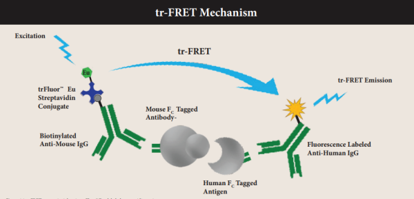 AAT Bioquest-6.png