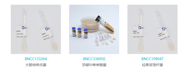 BNCC-1.png