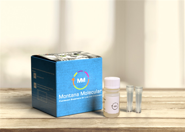 Montana Molecular代理產品