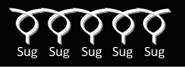PA.png