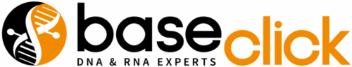 BaseClick.png