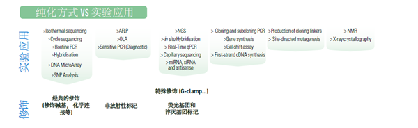 Oligo-4.png