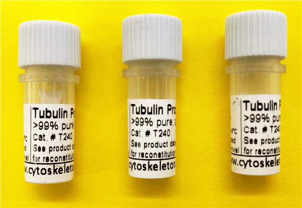 Tubulin-Protein產品.jpg