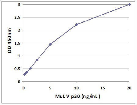 MuLV Core p30 標準曲線.png