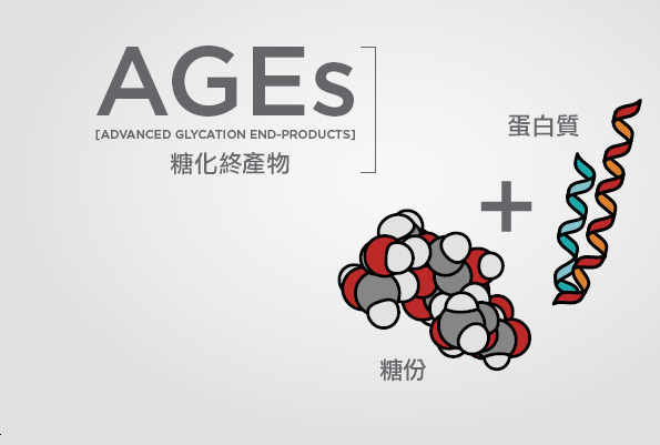 晚期糖基化終末產物AGEs.png