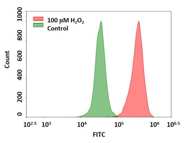 Cell Meter 細胞內熒光過氧化氫檢測試劑盒.jpg