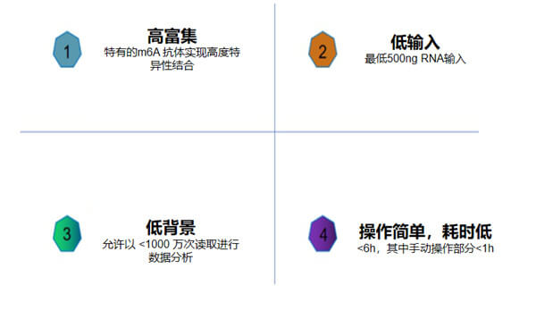 m6A-Seq試劑盒優勢：.jpg