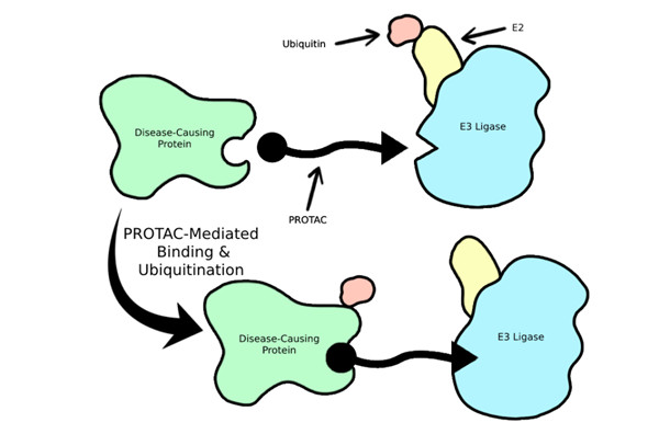 新型成藥技術.jpg
