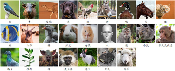 實驗物種.jpg
