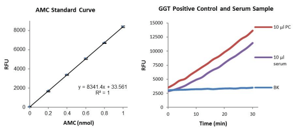 γ谷氨酰轉移酶（GGT）活性熒光檢測試劑盒.png
