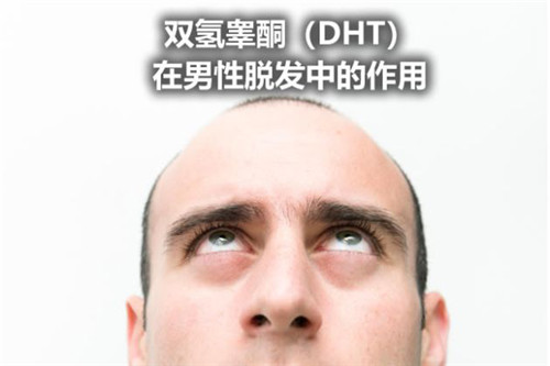 雙氫睪酮.jpg