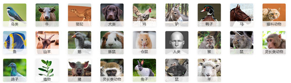 不同種屬樣本類型.jpg