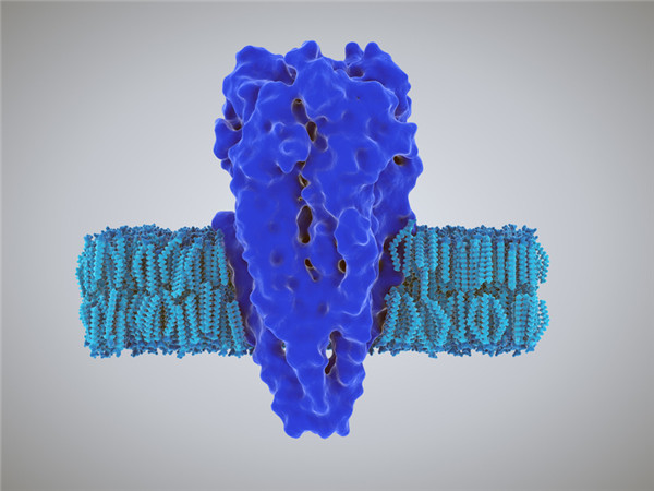 細胞膜脂
