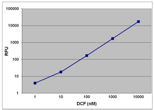 DCF標準曲線