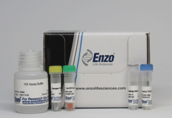 升級款-&nbsp;CYTO-ID?&nbsp;Autophagy detection kit 2.0