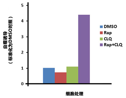 熒光酶標儀分析