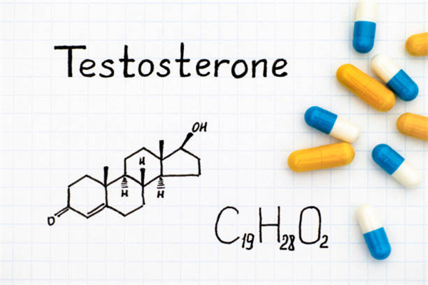 睪酮（Testosterone）檢測試劑盒