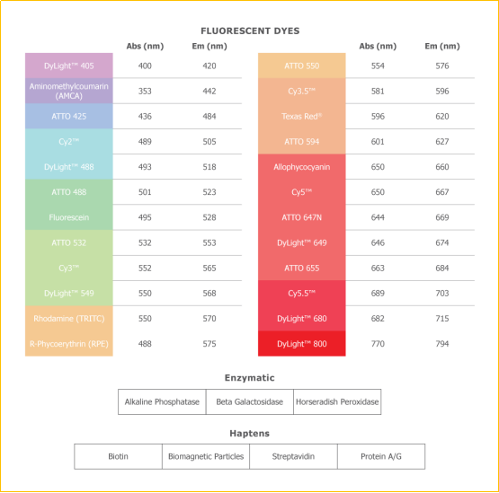 Rockland多彩熒光fluorescent-dyes.png
