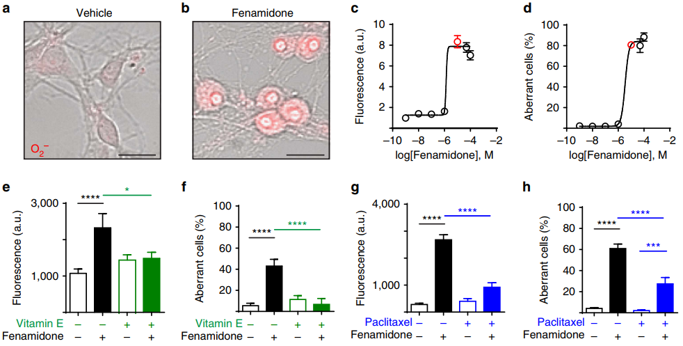 Nature-tubulin.png