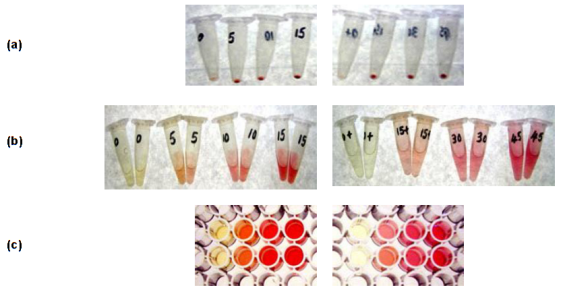 Sircol-Insoluble-Collagen-Assay-1檢測結果
