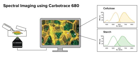 Ebba Biotech熒光示蹤劑