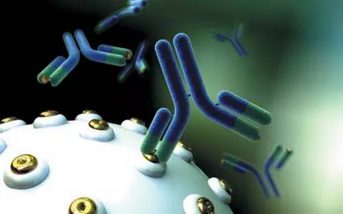 英夫利昔單抗(Infliximab)與抗Infliximab抗體
