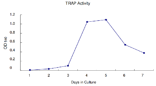 破骨細胞培養上清液中TRAP活性的測定