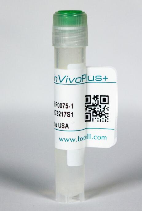 體內加大反鼠標Ly6G