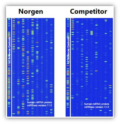 microRNA-4.png