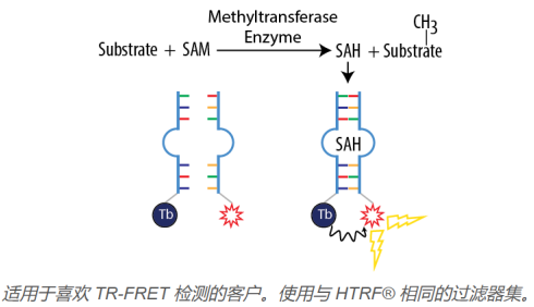 AptaFluor SAH甲基轉移酶測定試劑盒