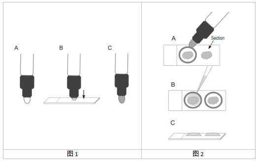 免疫組化筆 SuperHT PAP Pen