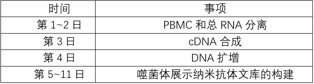 納米抗體噬菌體免疫庫服務