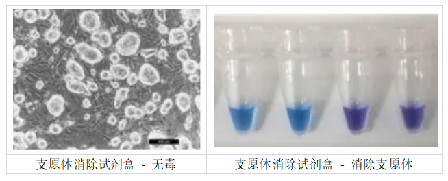  MycoGenie支原體消除試劑盒