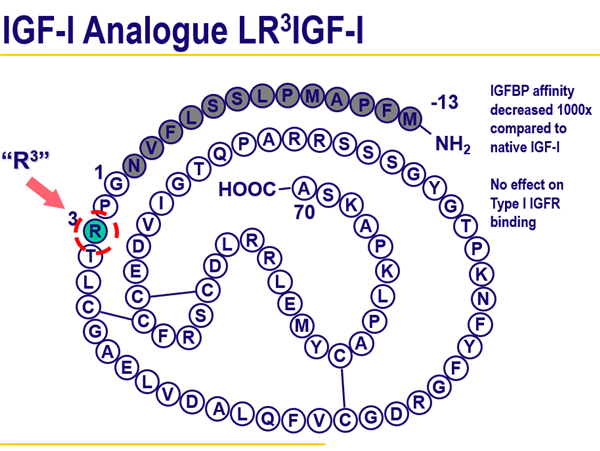 LR3 IGF-I的氨基酸結構