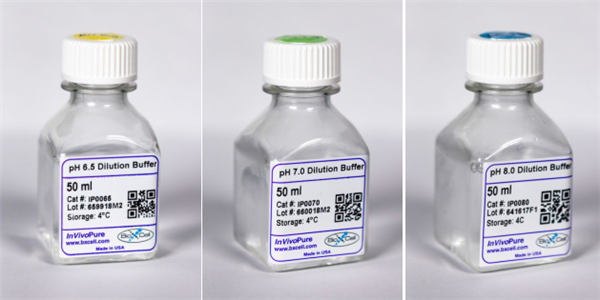 BioXCell體內抗體稀釋液