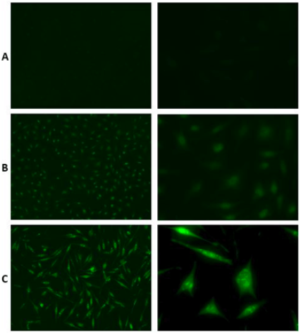 ENZ-ABS840-0100.png