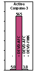 ALX-201-059.png