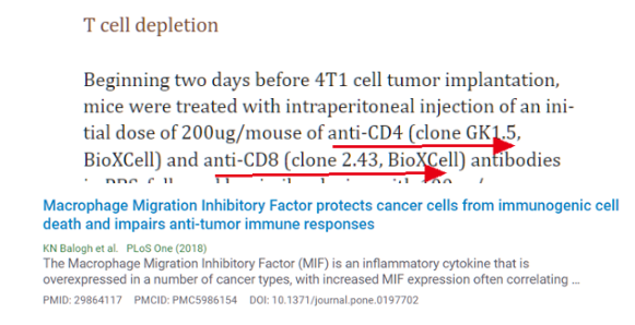 CD8 T細胞耗竭