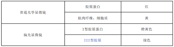 天狼星紅染色液