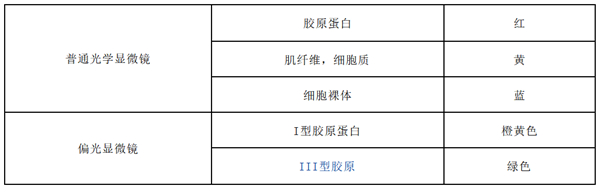 天狼星紅染色試劑盒