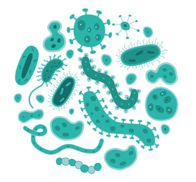 微生物組DNA提取試劑盒