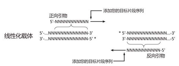 PCR.png